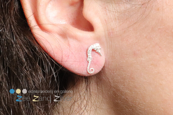 Zilveren (925) oorstekers van een 3D zeepaardje