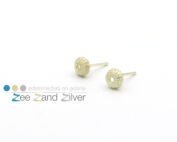 Gouden (14krt) oorstekers in de vorm van een mini zeeegel.