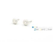 Zilveren oorstekers 'zee-egeltjes klein'