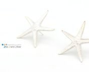 Oorstekers zeester groot - zilver